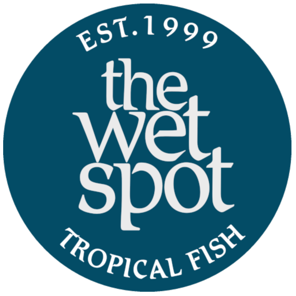 The Wet Spot Tropical Fish