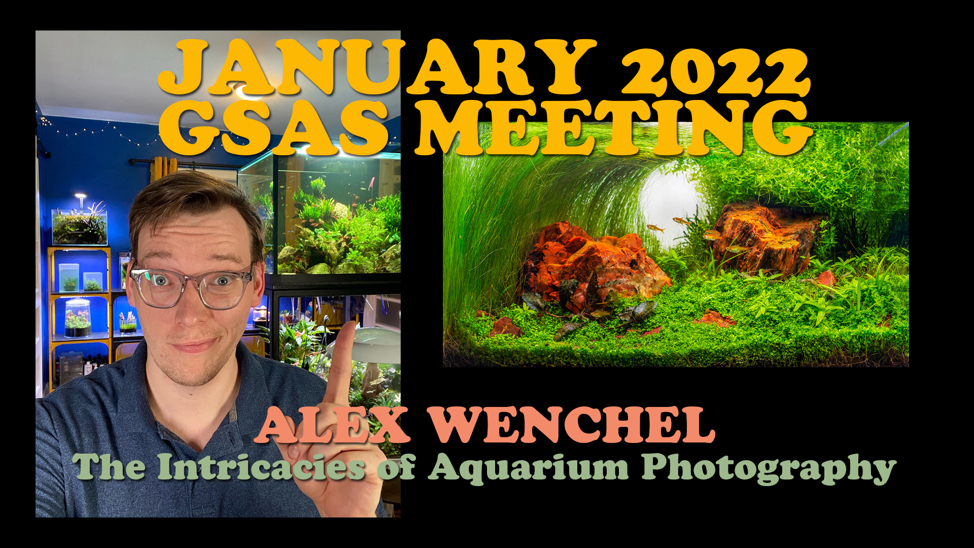 Photographing the Home Aquarium - Alex Wenchel - Tuesday, January 11, 2022