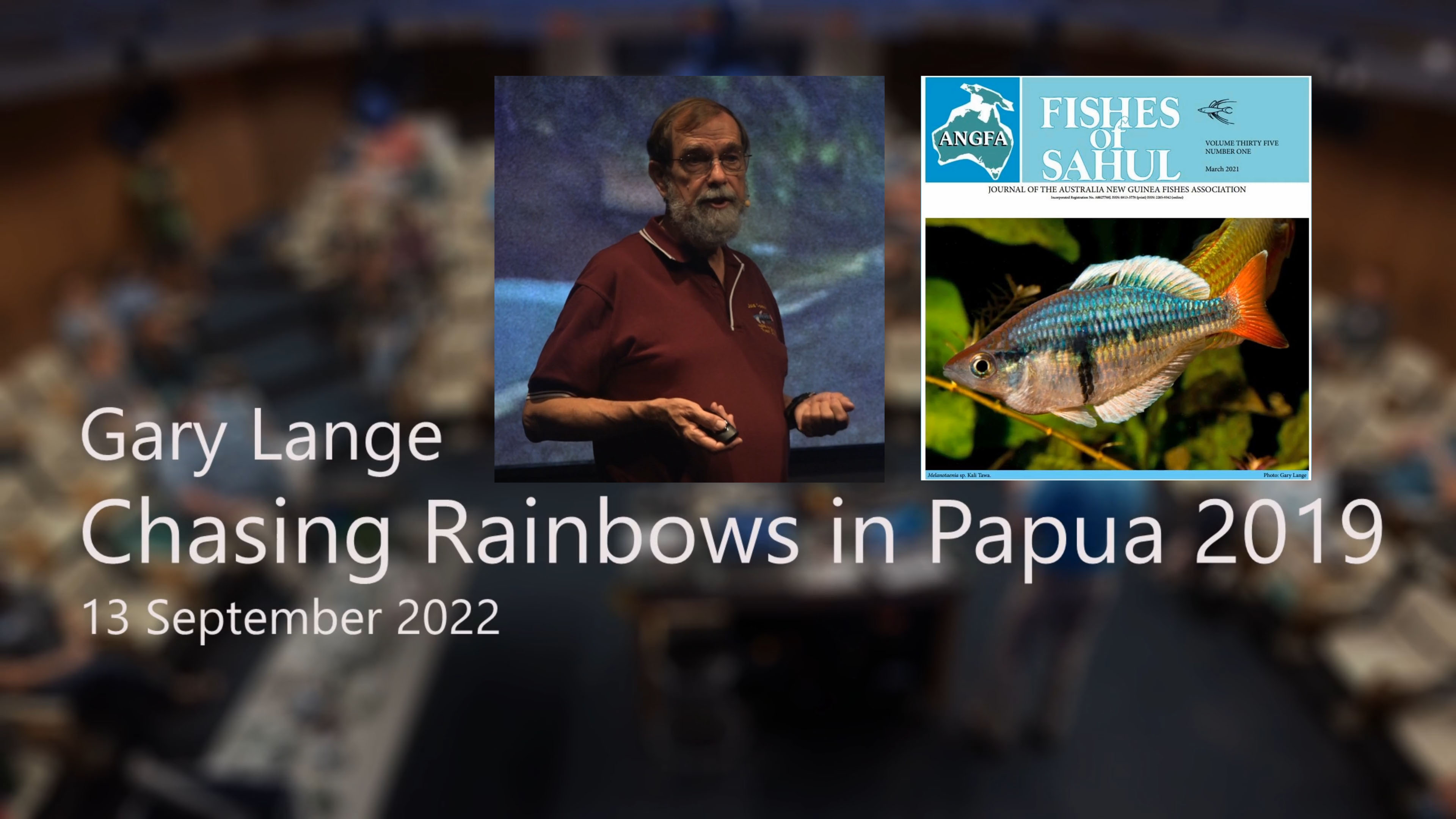 Papua 2019 - The Most Amazing Rainbowfish - Gary Lange - Tuesday, September 13, 2022