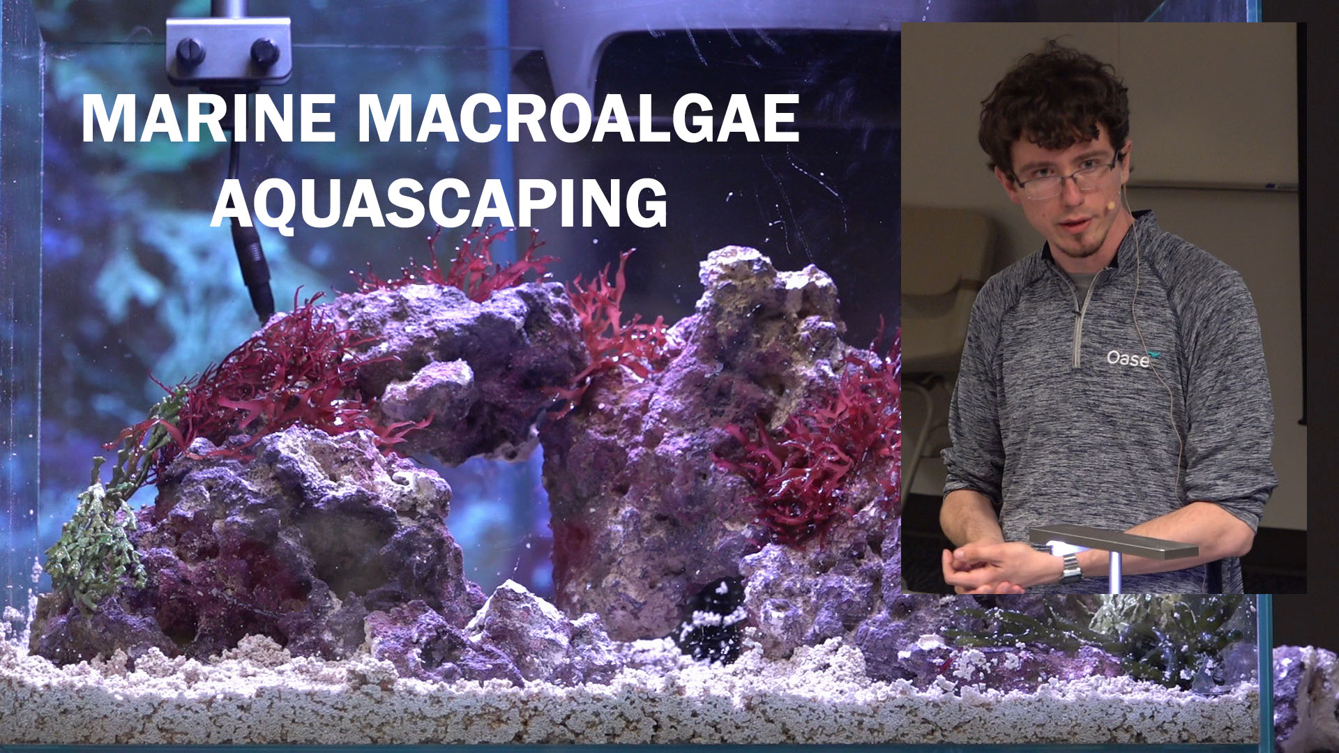 Marine Macroalgae Aquascaping - Jonathon Butkus - Tuesday, May 9, 2023